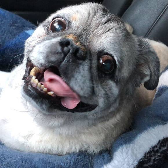 Meet your Posher, Danny - Picture 1 of 1